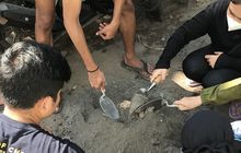 Mahasiswa dan Dosen ITS Bikin Bahan Bangunan dari Erupsi Gunung Semeru