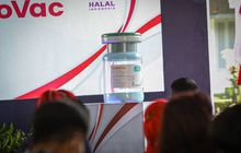 IndoVac, Vaksin Buatan Dalam Negeri Resmi Diluncurkan