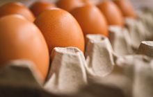 5 Manfaat Putih Telur,  Salah Satunya Menjaga Kesehatan Jantung 