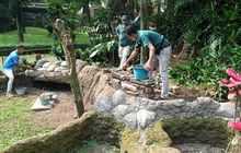 Bandung Zoo Terus Berbenah, Pengelola Perbaiki Kandang Satwa