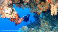 Wisata Minat Khusus: Welora, The Forgotten Island di Ujung Maluku Barat Daya